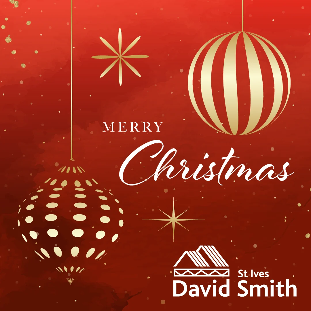 A red Christmas graphic that says Merry christmas on it and the DSSI logo